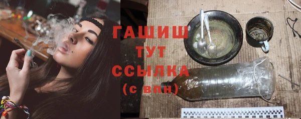 гидра Арсеньев