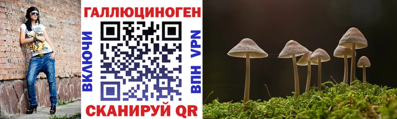 ОМГ ОМГ онион  Нягань  Псилоцибиновые грибы Cubensis 